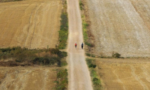 Keeping the Camino Flame Alive